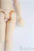 画像3: azone/1/12ピコニーモS/男の子ボディ/0 I-25-08-17-246-KD-ZI (3)