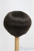 画像2: 9-10inch/ウィッグ CROBI/インチ　BJD　MJD　ドール用 I-25-08-17-251-KD-ZI (2)