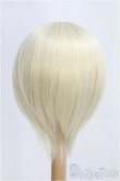 画像2: 9-10inch/ウィッグ CROBI/インチ　BJD　MJD　ドール用 I-25-08-17-253-KD-ZI (2)