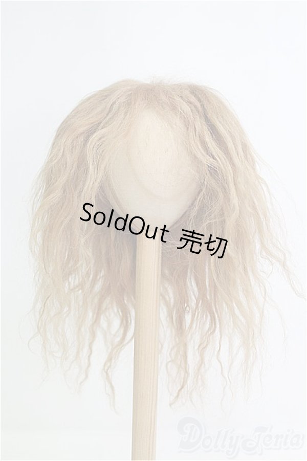 画像1: 9-10inch/モヘアウィッグ/インチ　BJD　MJD　ドール用 I-25-08-17-254-KD-ZI (1)