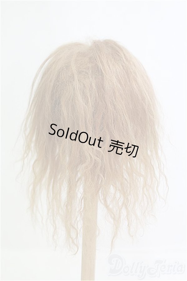 画像2: 9-10inch/モヘアウィッグ/インチ　BJD　MJD　ドール用 I-25-08-17-254-KD-ZI (2)