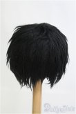 画像2: 9-10inch/ボアウィッグ/インチ　BJD　MJD　ドール用 I-25-08-17-255-KD-ZI (2)
