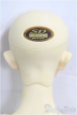 画像5: SD17BOY/ウィリアムズ　銀貨の誓い　The young Ensign/BJD　球体関節人形 I-25-09-28-203-KD-ZI (5)