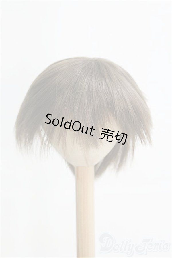 画像1: 8-9inch/ウィッグ I-25-08-24-085-KD-ZI (1)