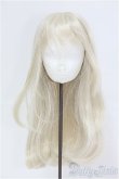 画像1: 8-9inch/ウィッグ　ロンシュカ様 I-25-08-24-148-KD-ZI (1)