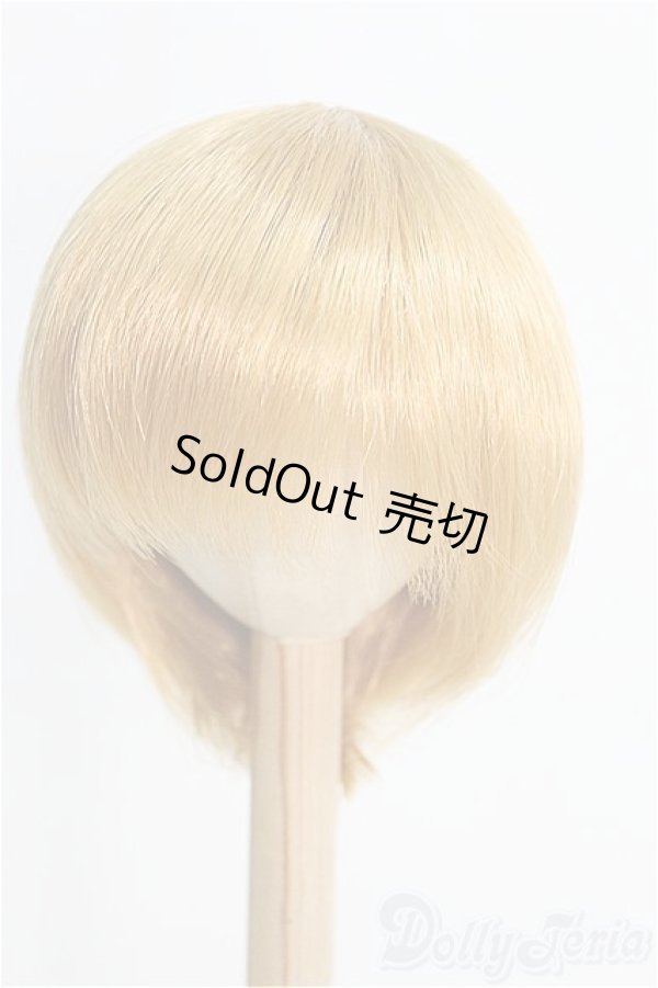 画像1: 9-10inch/ウィッグ I-25-08-24-086-KD-ZI (1)