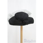 画像: SD/DD I-25-08-24-081-KD-ZI