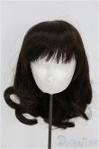 画像1: 8-9inch/ウィッグ　for my doll I-25-08-24-145-KD-ZI (1)