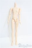 画像1: オビツ27ｃｍ/男性ボディ・スリムタイプ I-25-08-24-003-KD-ZI (1)