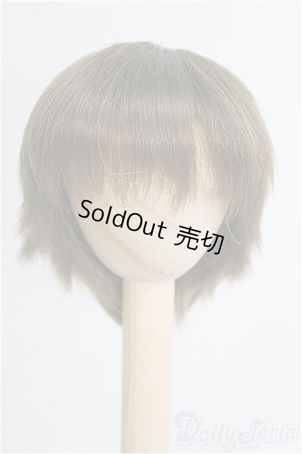 画像1: 7-8inch/ウィッグ I-25-08-24-239-KD-ZI (1)