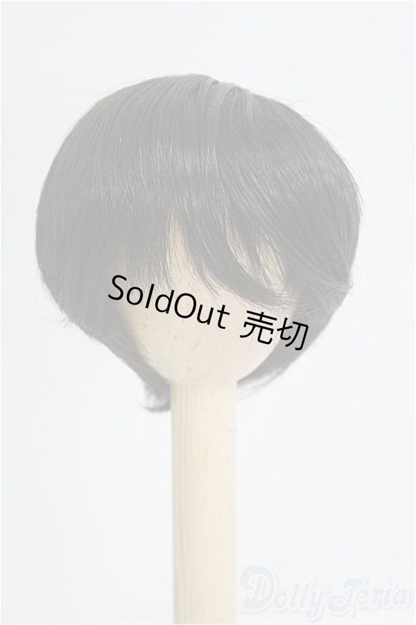 画像1: 7-8inch/ウィッグ I-25-08-24-238-KD-ZI (1)