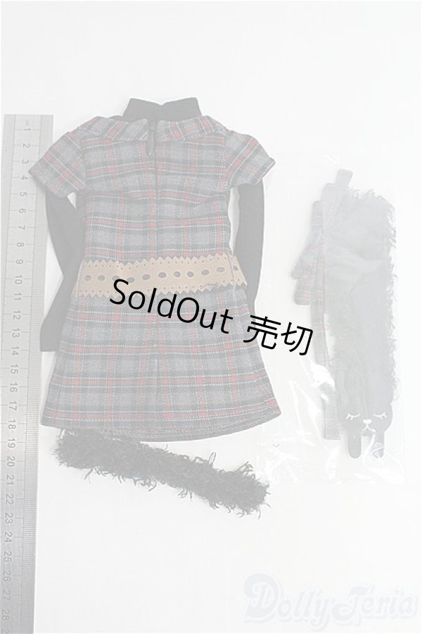 画像2: SDM＆MSD/OF:衣装セット　VOLKS I-25-08-24-213-KD-ZI (2)