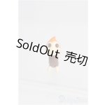 画像: スタジオウー/ワンダフレンド おしゃべり虫 ノイ I-25-08-24-273-KD-ZI