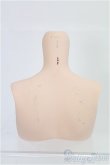 画像2: スマートドール/オプションパーツ　胸パーツ I-25-08-31-028-KD-ZI (2)