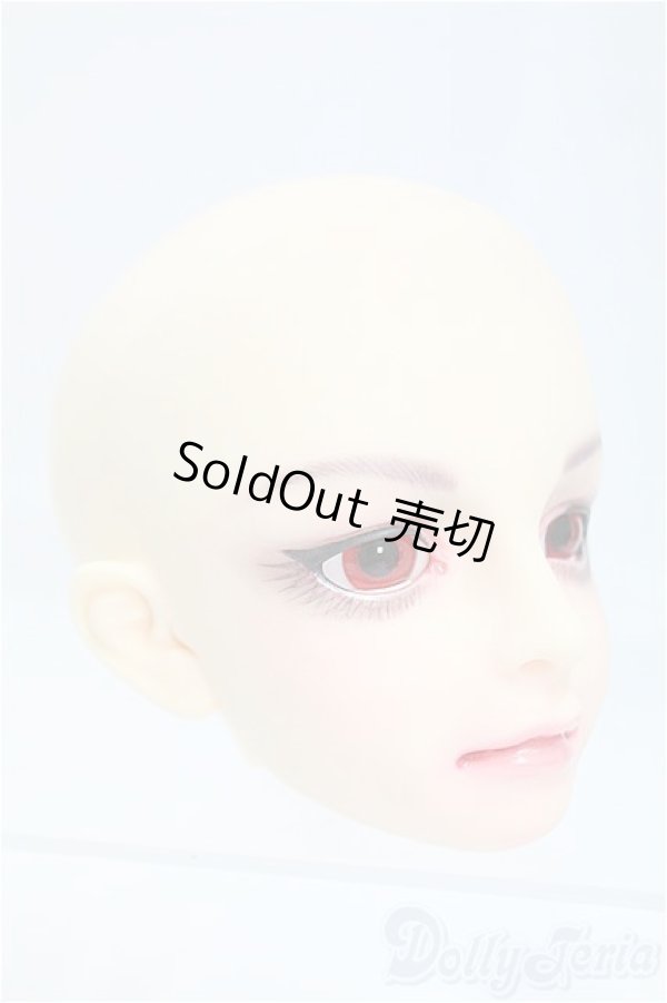 画像3: SD/DWC#04:カスタムメイクヘッド/BJD　球体関節人形 I-25-11-02-305-KD-ZI (3)