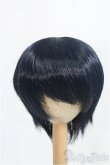 画像1: 9inch/ウィッグ：DOLLCE製/インチ　BJD　MJD　ドール用 I-25-08-31-126-KD-ZI (1)
