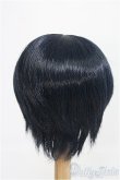 画像2: 9inch/ウィッグ：DOLLCE製/インチ　BJD　MJD　ドール用 I-25-08-31-126-KD-ZI (2)