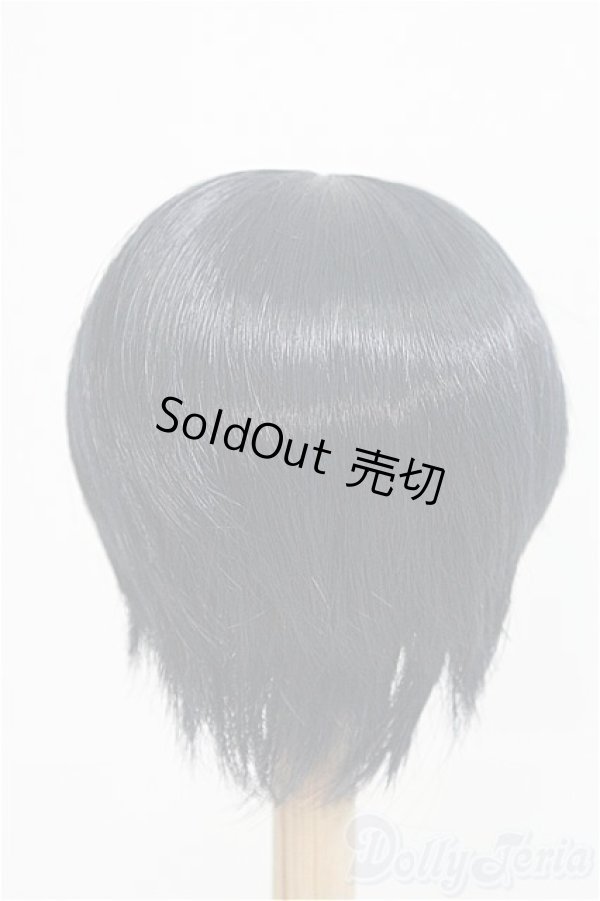 画像2: 9inch/ウィッグ：DOLLCE製/インチ　BJD　MJD　ドール用 I-25-08-31-126-KD-ZI (2)