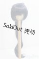 画像: 9inch/ウィッグ：インソムニア製/インチ　BJD　MJD　ドール用 I-25-08-31-122-KD-ZI