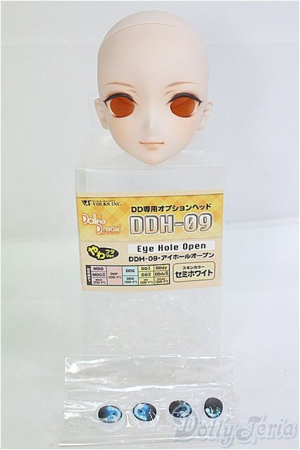 画像1: DDH-09カスタムメイクヘッド/BJD　球体関節人形 I-25-08-31-186-KD-ZI (1)