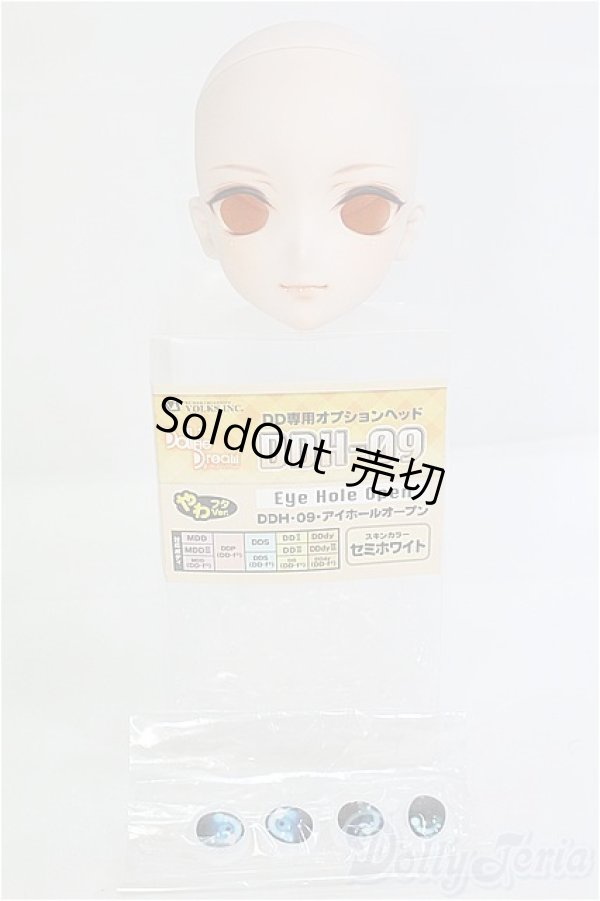 画像1: DDH-09カスタムメイクヘッド/BJD　球体関節人形 I-25-08-31-186-KD-ZI (1)