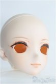 画像3: DDH-09カスタムメイクヘッド/BJD　球体関節人形 I-25-08-31-186-KD-ZI (3)