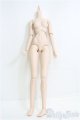 画像: DD/ベースボディ(DD-f3)ノーマル I-25-08-24-305-KD-ZI