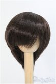 画像1: 7-8inch/ウィッグ　BJD CROBI/インチ　BJD　MJD　ドール用 I-25-08-31-110-KD-ZI (1)