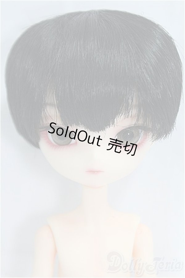 画像1: Harmonia bloom(ハルモニア ブルーム)/エドヒガン/ I-25-09-28-223-KD-ZI (1)