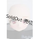 画像: DD/DDH-01 カスタムメイクヘッド(暗黒騎士団様) I-25-11-02-398-KD-ZI