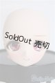 画像: DD/DDH-01　カスタムメイクヘッド（暗黒騎士団様） I-25-11-02-398-KD-ZI