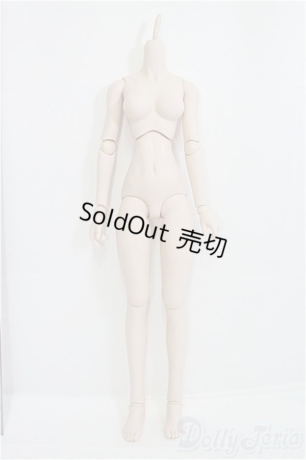 画像1: DDS/ベースボディIII/BJD　球体関節人形 I-25-08-31-151-KD-ZI (1)