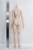 画像2: DDS/ベースボディIII/BJD　球体関節人形 I-25-08-31-151-KD-ZI (2)