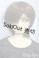 画像: SD13男の子/ワンオフセシルmayura様/BJD　球体関節人形 I-25-11-02-303-KD-ZI