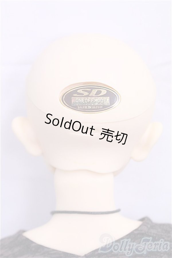 画像5: SD13男の子/ワンオフセシルmayura様/BJD　球体関節人形 I-25-11-02-303-KD-ZI (5)