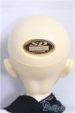画像5: SD男の子/スタンダードモデル　マーク/BJD　球体関節人形 I-25-09-28-202-KD-ZI (5)