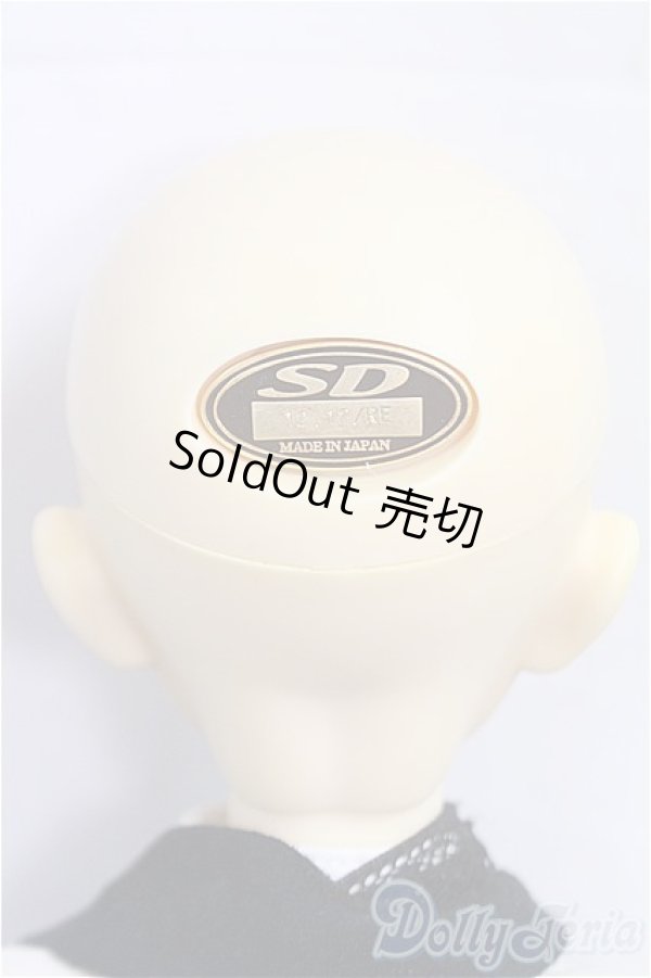 画像5: SD男の子/スタンダードモデル　マーク/BJD　球体関節人形 I-25-09-28-202-KD-ZI (5)