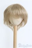 画像1: 8-9inch/ウィッグ/インチ　BJD　MJD　ドール用 I-25-08-31-203-KD-ZI (1)