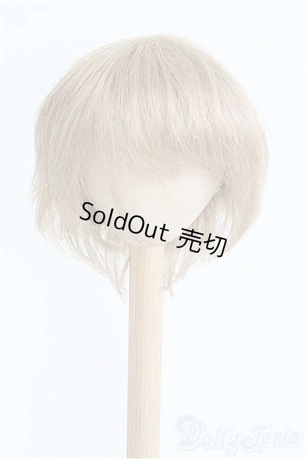 画像1: 8-9inch/ウィッグ/インチ　BJD　MJD　ドール用 I-25-08-31-203-KD-ZI (1)