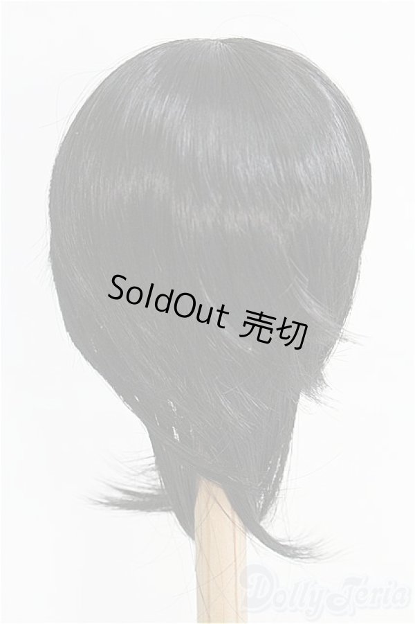 画像2: 8-9inch/ウィッグ/インチ　BJD　MJD　ドール用 I-25-08-31-207-KD-ZI (2)