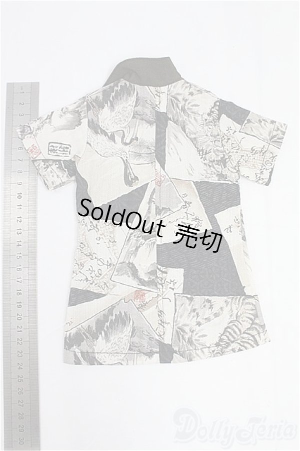 画像2: SDGrB＆SD13男の子/OF:トップス I-25-09-28-163-KD-ZI (2)