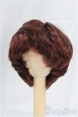 画像1: 7-8inch/ウィッグ　LITTLE　MONICA/インチ　BJD　MJD　ドール用 I-25-09-14-070-KD-ZI (1)
