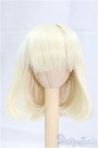 画像1: 7-8inch/ウィッグ　DOLKオリジナル/インチ　BJD　MJD　ドール用 I-25-09-14-075-KD-ZI (1)