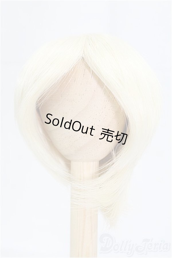 画像1: 7.5-8inch/ウィッグ　BJD　CROBI/インチ　BJD　MJD　ドール用 I-25-09-14-078-KD-ZI (1)