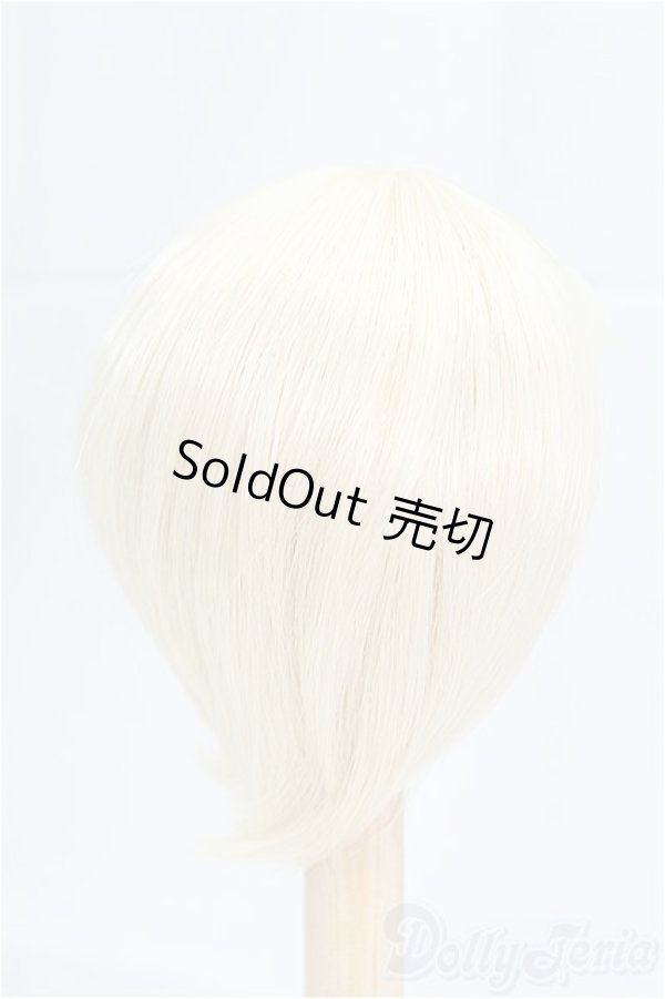 画像2: 7.5-8inch/ウィッグ　BJD　CROBI/インチ　BJD　MJD　ドール用 I-25-09-14-078-KD-ZI (2)