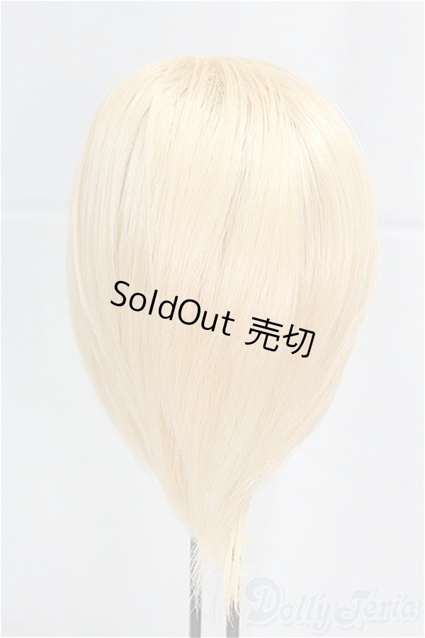 画像2: 8-9inch/ウィッグ/インチ　BJD　MJD　ドール用 I-25-09-14-060-KD-ZI (2)