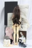 画像5: Dreaming Doll/1/3/Molly/BJD　球体関節人形 I-25-09-07-202-KD-ZI (5)