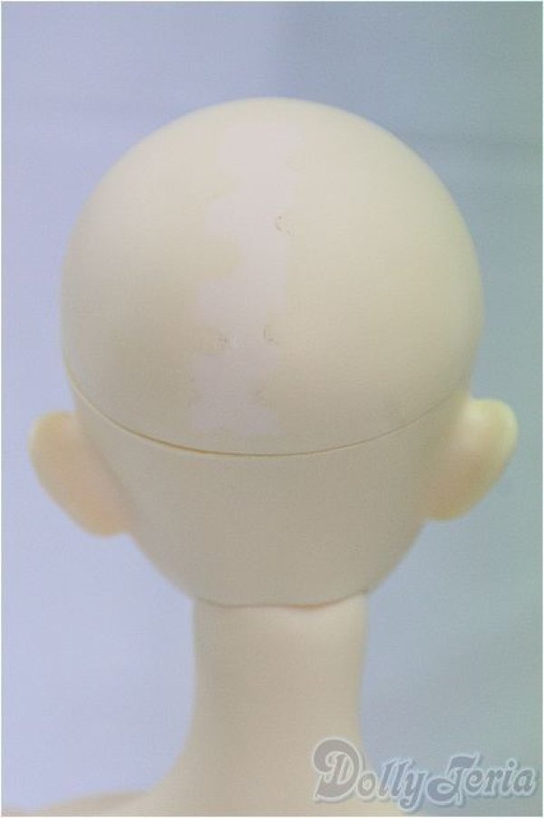 画像7: Dreaming Doll/1/3/Molly/BJD　球体関節人形 I-25-09-07-202-KD-ZI (7)