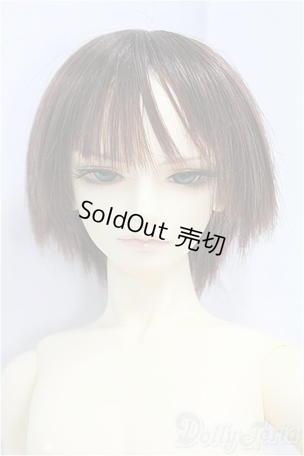 画像1: BJD CROBI/M-line　Ys A/BJD　球体関節人形 I-25-09-28-206-KD-ZI (1)