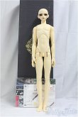 画像4: BJD CROBI/M-line　Ys B/BJD　球体関節人形 I-25-10-12-004-KD-ZI (4)